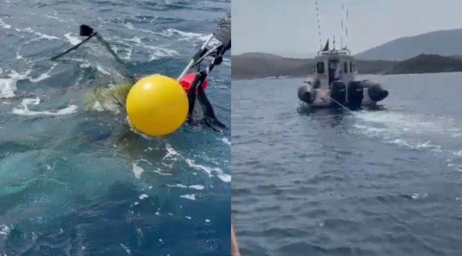 E zuri stuhia/ Gjendet i pajetë përballë Ishujve të Ksamilit 61-vjeçari…