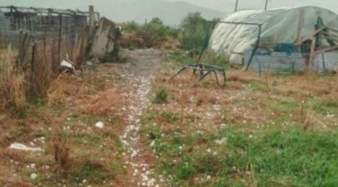 Breshër i fuqishëm në Devoll/ Dëmtohen 40 hektarë, fasulja pëson goditjen më të madhe